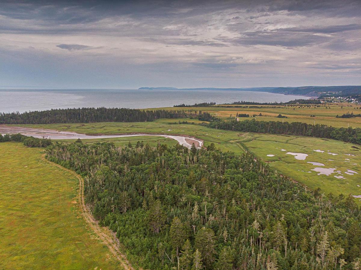Fox Point Inn Parrsboro Eksteriør billede